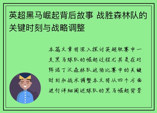 英超黑马崛起背后故事 战胜森林队的关键时刻与战略调整