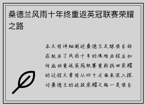 桑德兰风雨十年终重返英冠联赛荣耀之路
